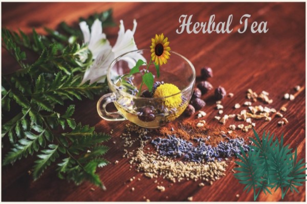 Best Herbal Tea – The benefits of homemade remedies as tea.